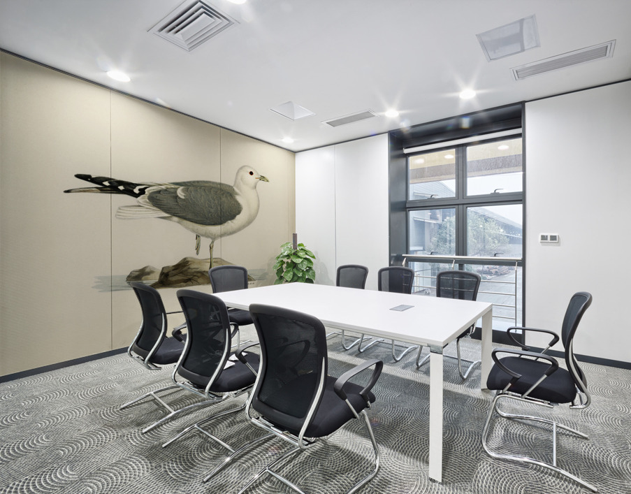 Common gull larus canu Wall Printing