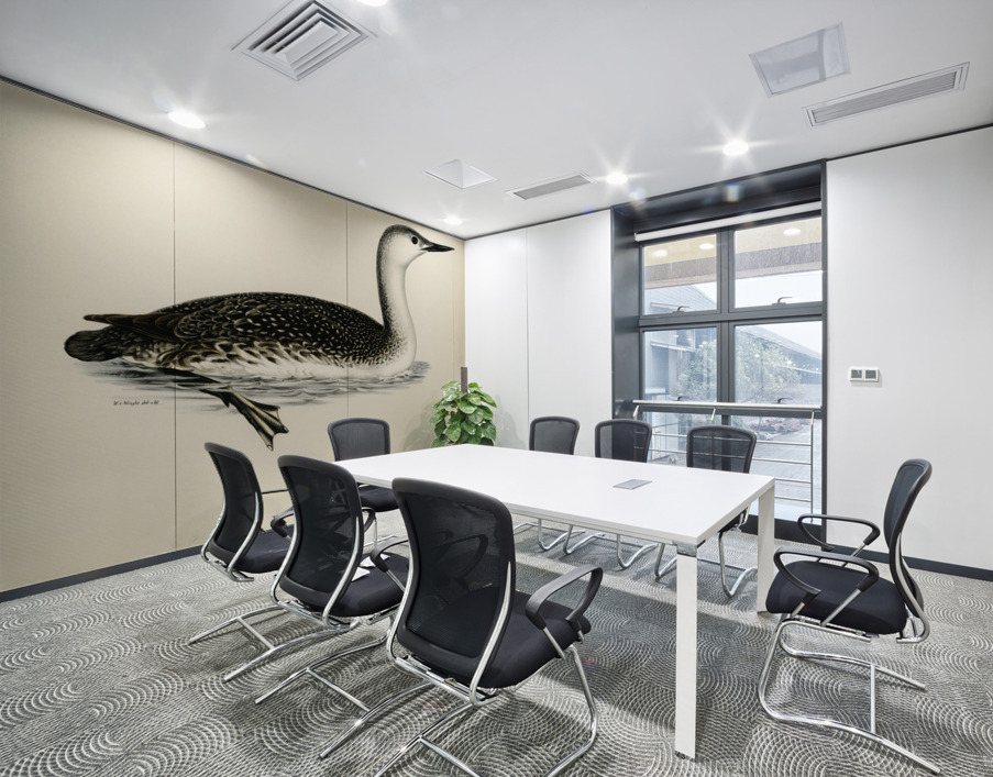 Red-thoated loon Colymbus stellatus Wall Printing