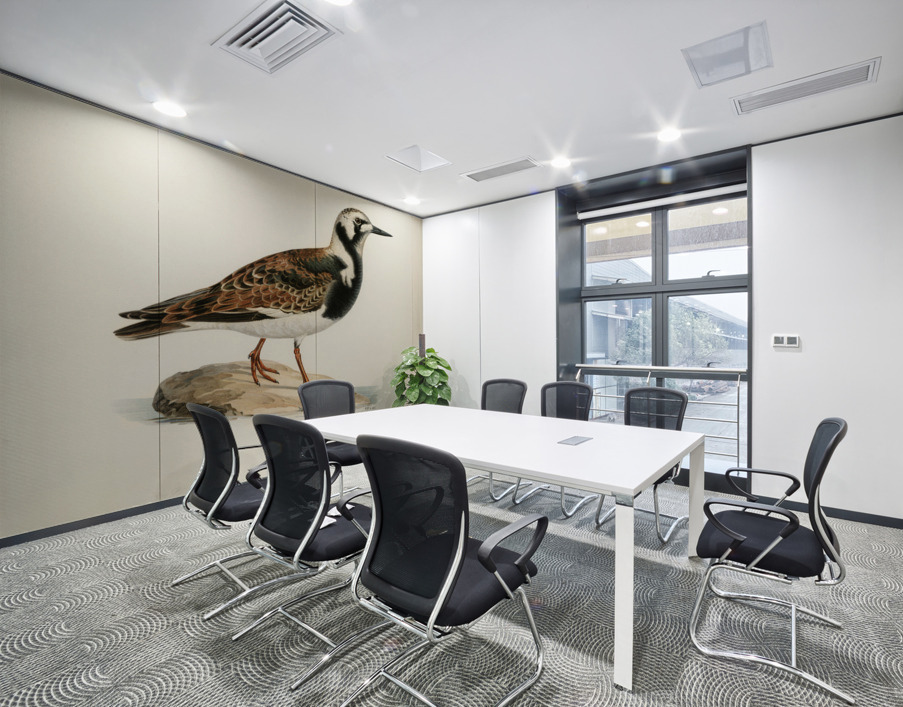 Ruddy turnstone arenaria interpres  Wall Printing