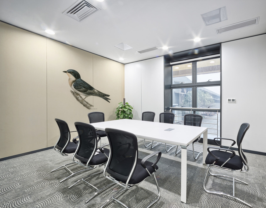 Hybrid between common house-martin and barn swallow Chelidon rustica L.xHirundo urbica Wall Printing