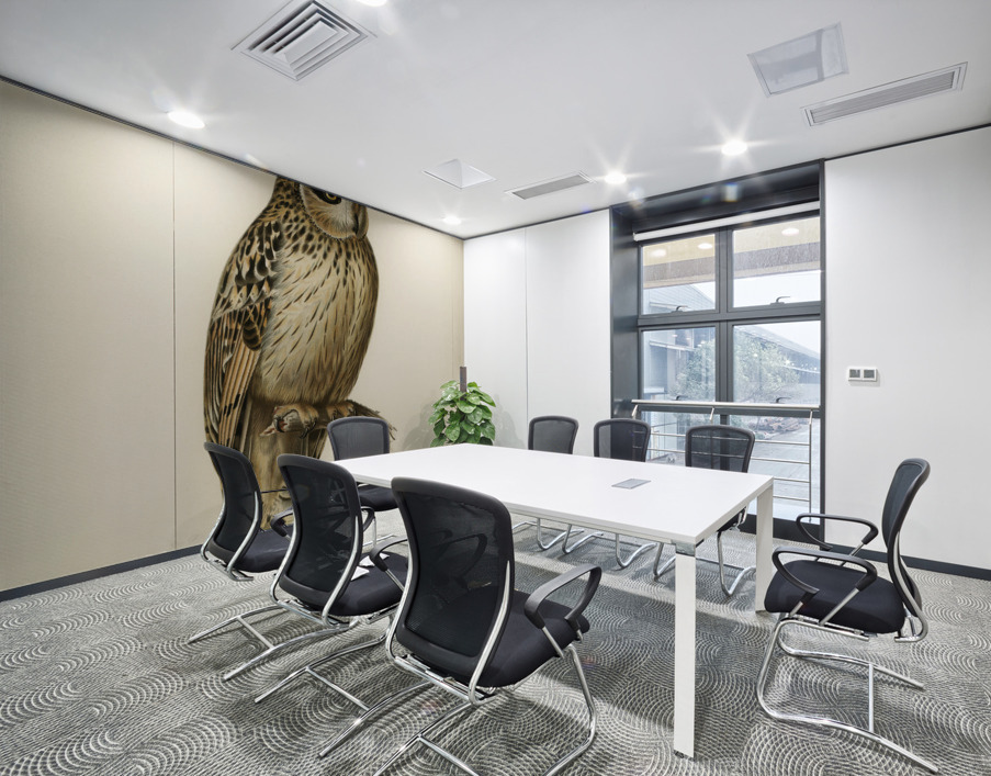 Short-eared Owl Asio flammeus Wall Printing