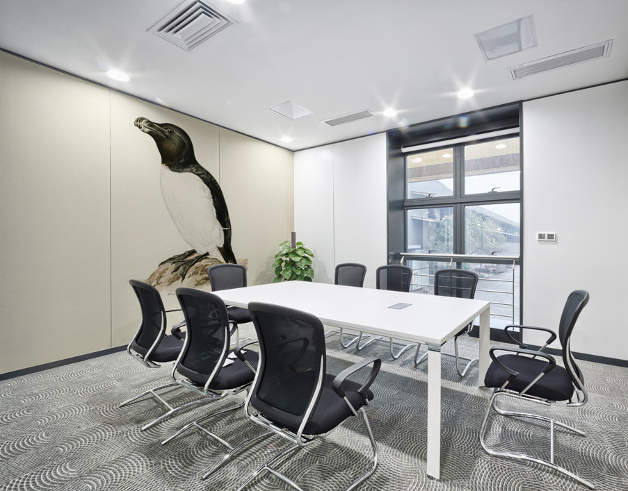 Razorbill Alca torda Wall Printing