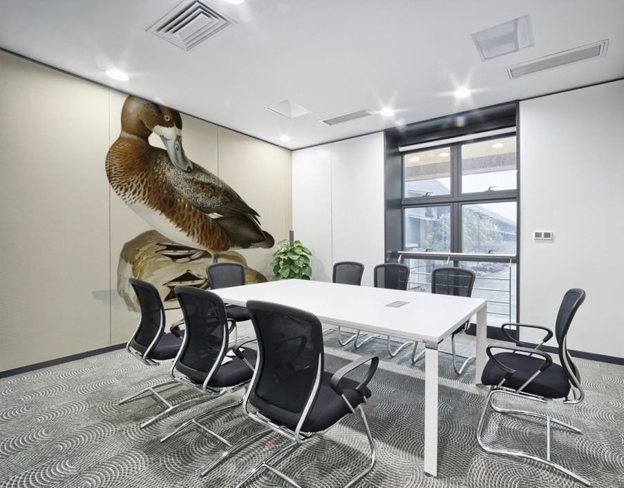 Greate Scaup Scaup male ♂ Nyroca marila Wall Printing