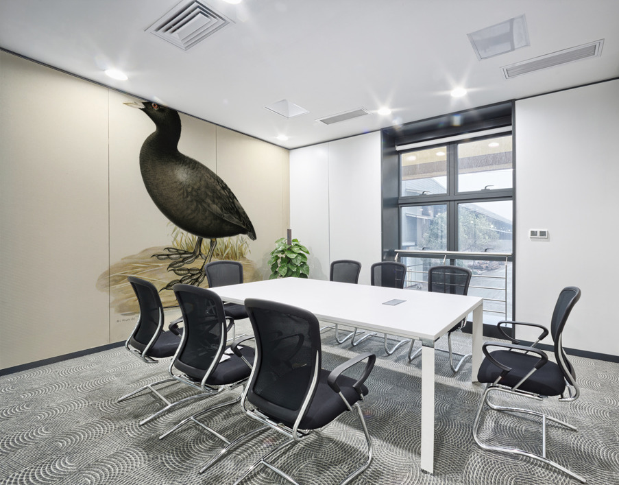 Eurasian coot Fulica atra Wall Printing