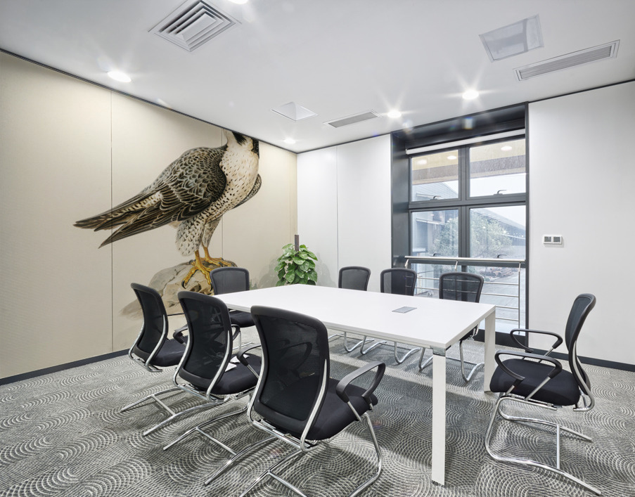 Peregrine Falcon Falco peregrinus Wall Printing