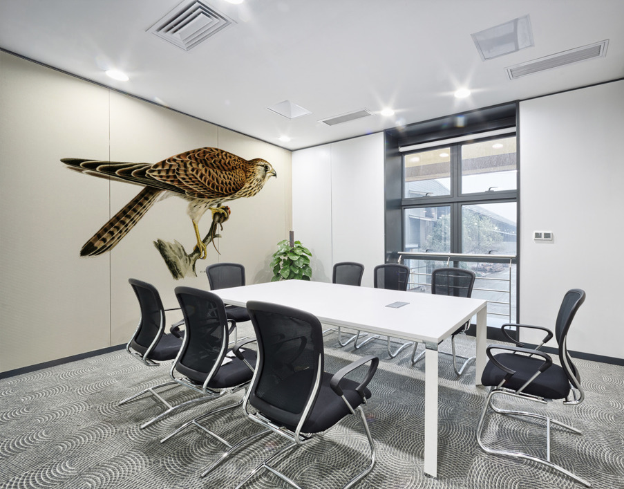Common Kestrel female Falco tinnunculus Wall Printing