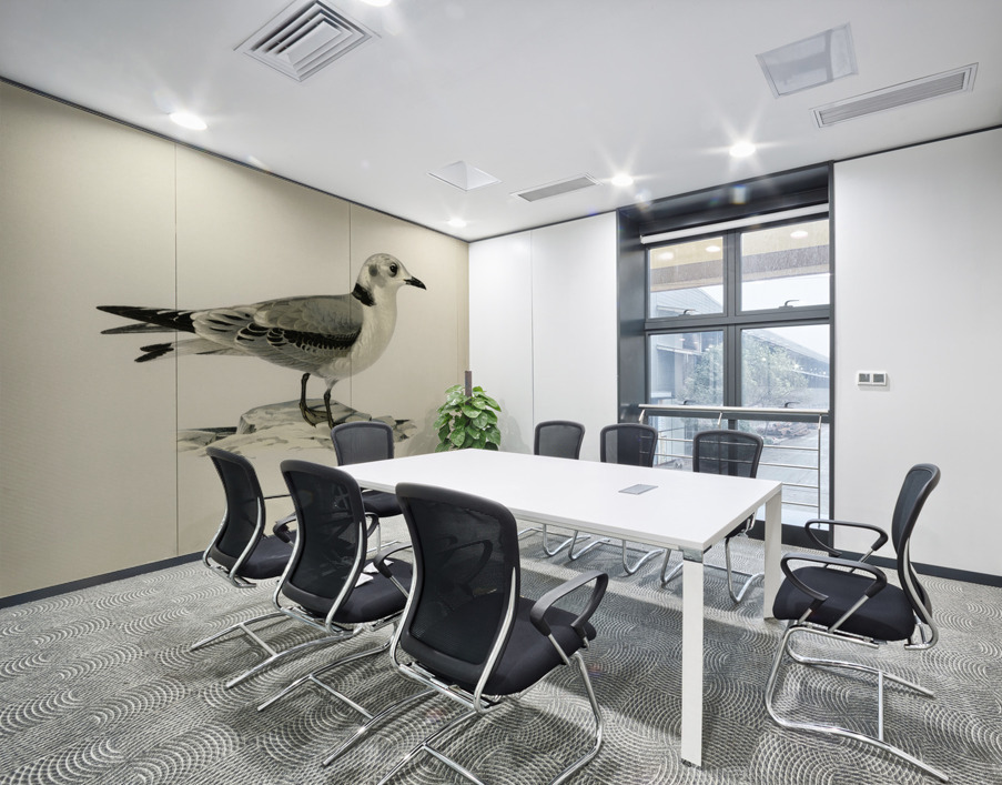 Black-legged kittiwake Rissa Tridactyla Wall Printing