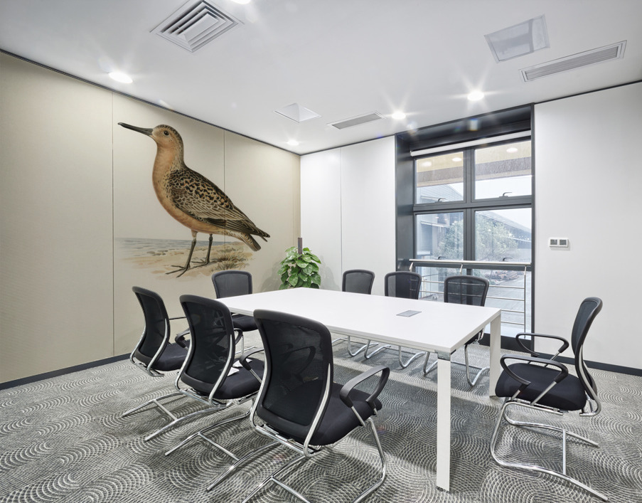 Red Knot ♂ Tringa Canutus Wall Printing
