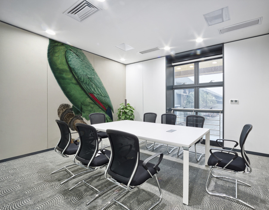 Yellow-crowned amazon Wall Printing