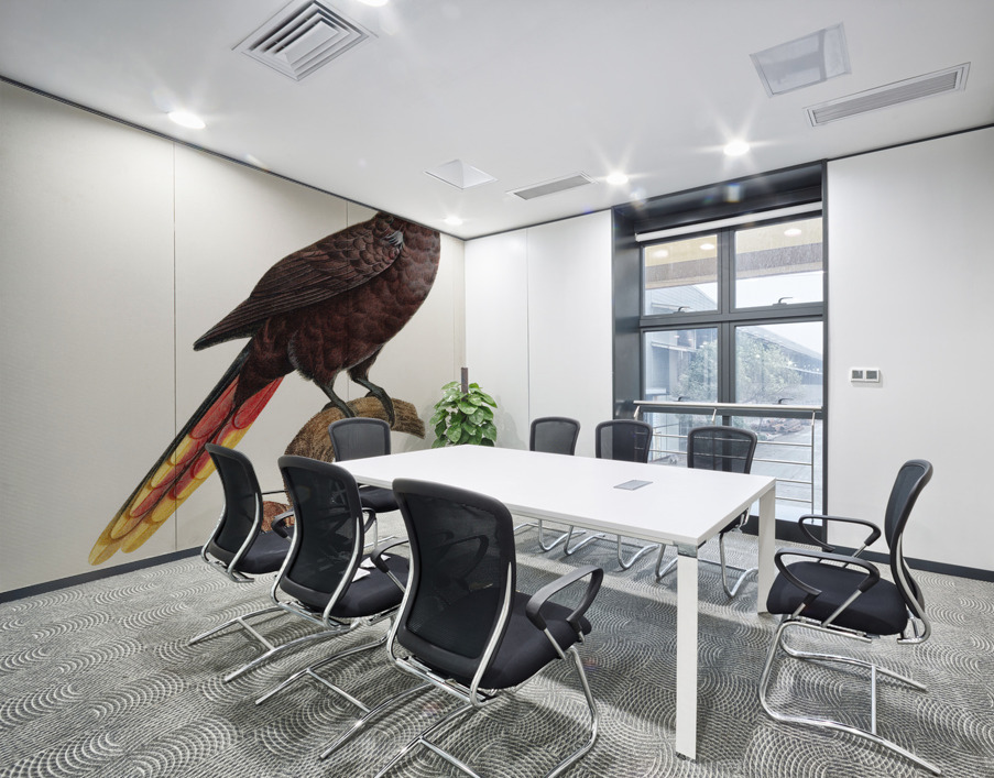 Black lory  Wall Printing