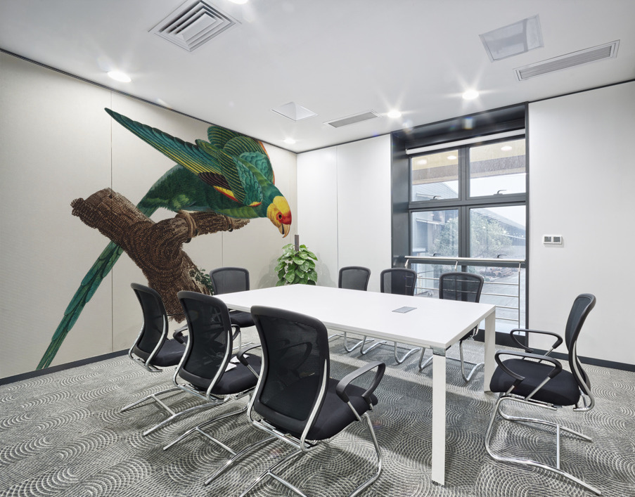 Yellow-crowned parakeet  Wall Printing