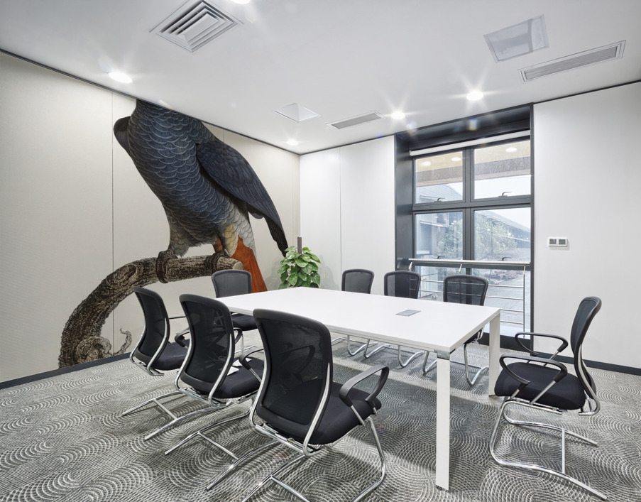 African grey parrot  Wall Printing