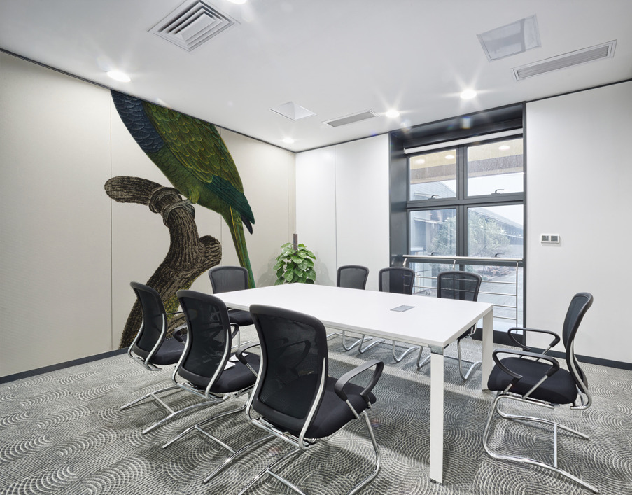 Quaker parrot  Wall Printing