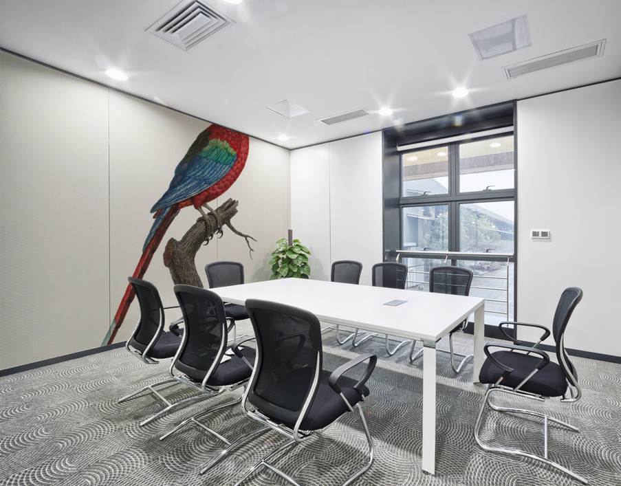 Scarlet macao  Wall Printing