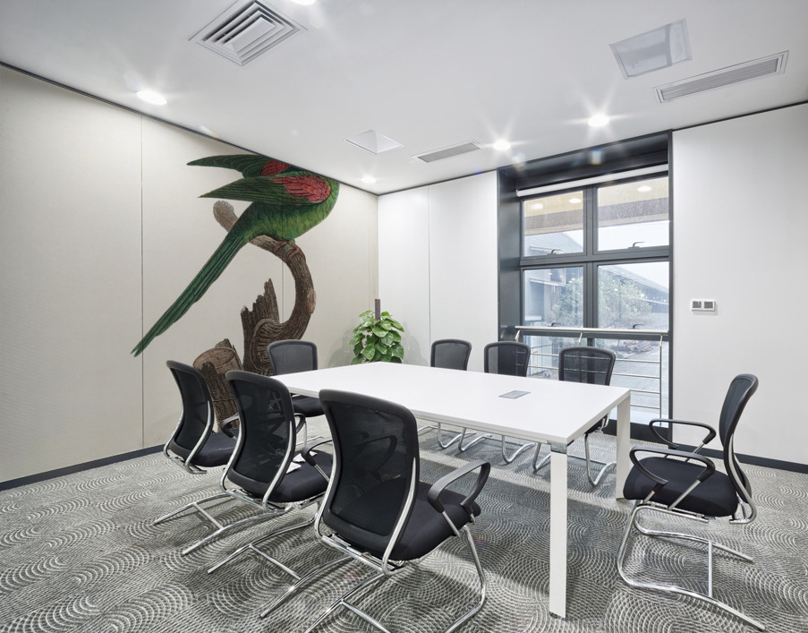 Red-throated conure  Wall Printing