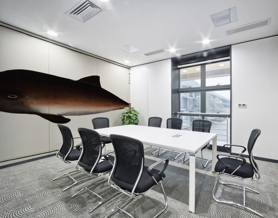 Porpesse Delphinus Phocoena Wall Printing