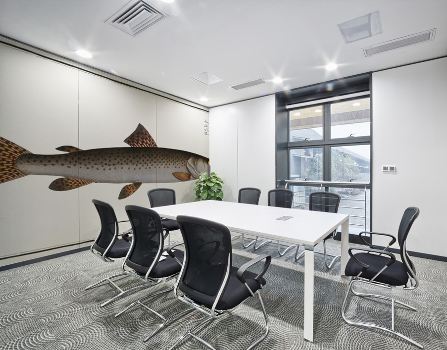 River-Salmon Salmo Hucho Wall Printing