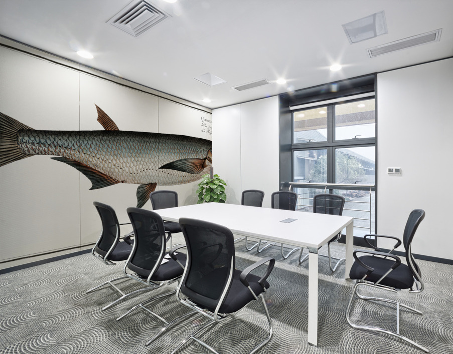 Knife-Carp Cyprinus Cultratus Wall Printing