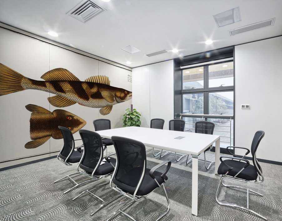 Singel Perca Zingel Wall Printing