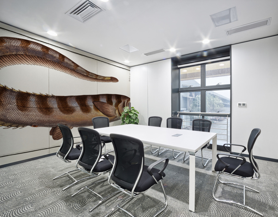 Notacanth Notacanthus Nasus Wall Printing