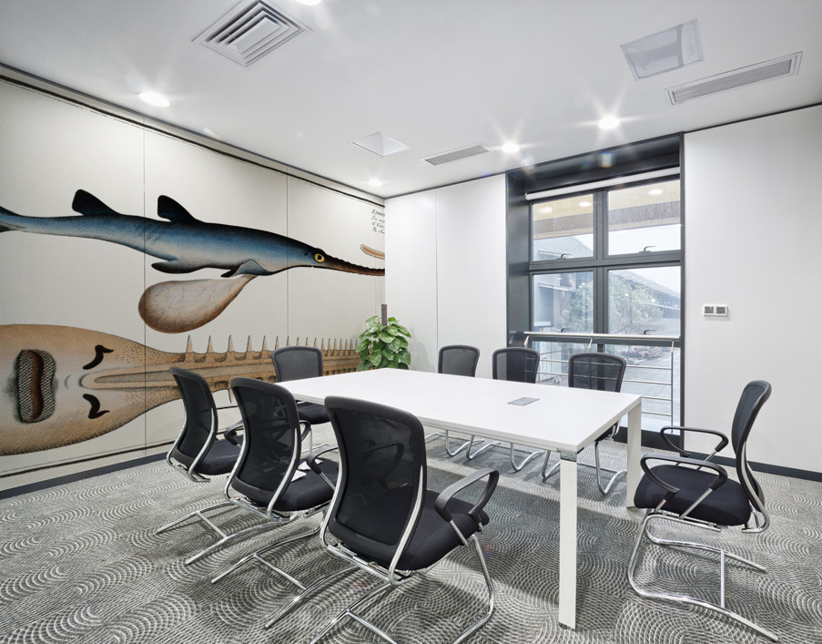 Saw-Fish Embrio Squali Pristis Wall Printing