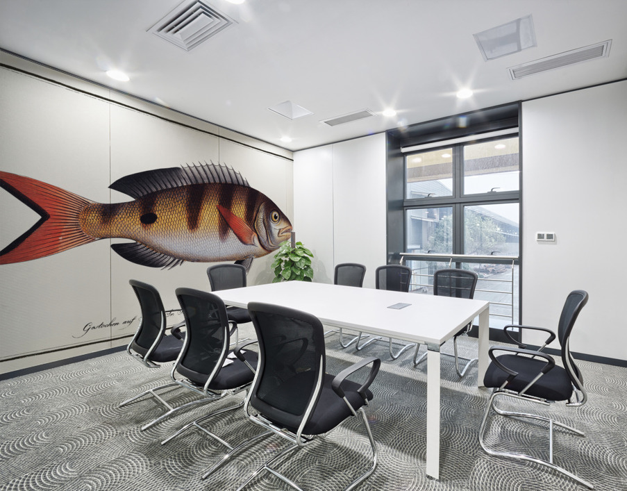 Annular Gilt-head Sparus annularis Wall Printing