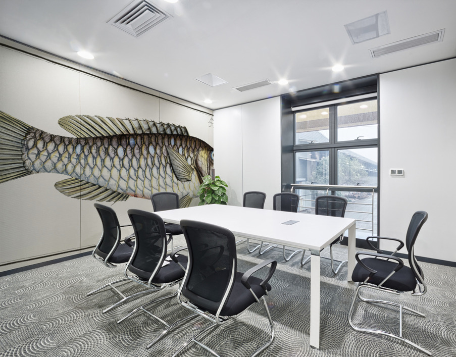 Sparus Abildgaardi Wall Printing