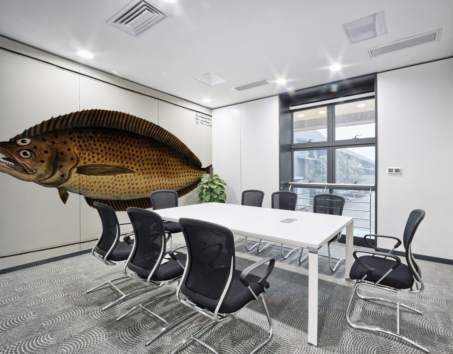 Pleuronectes macrolepidotus Wall Printing