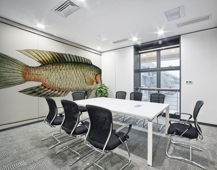 Sparus Chlorourus Wall Printing