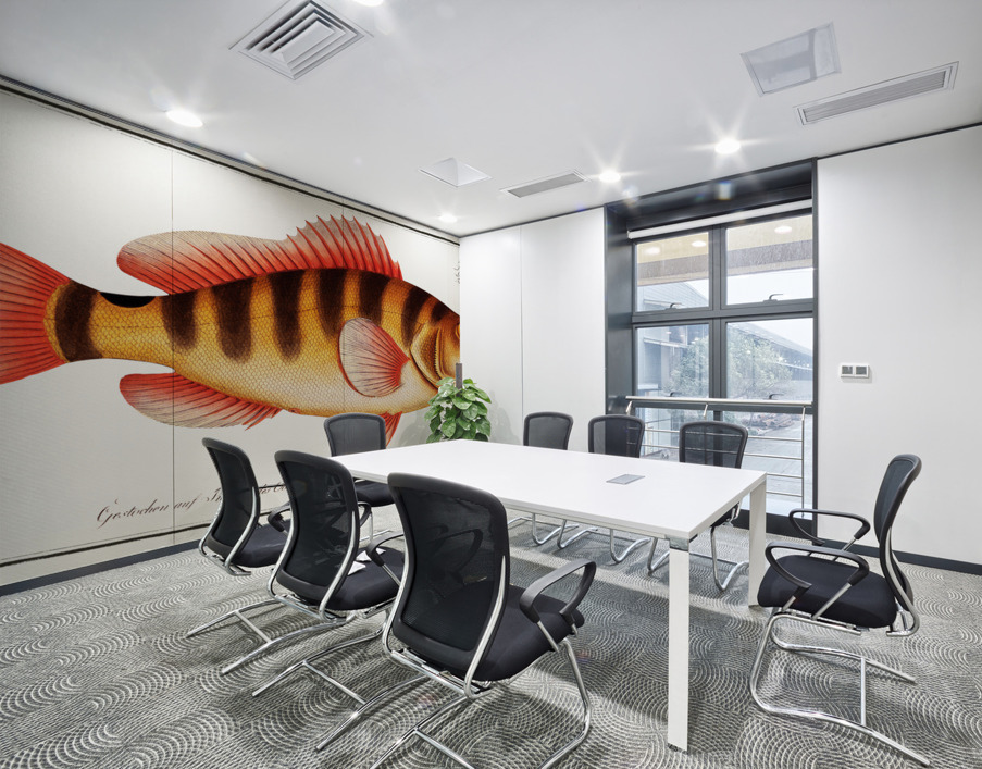 Streaked Grunt Anthias striatus Wall Printing