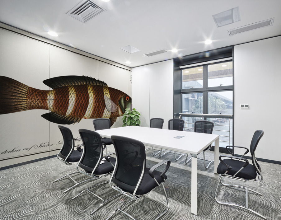 Streaked Wrasse Labrus fasciatus Wall Printing