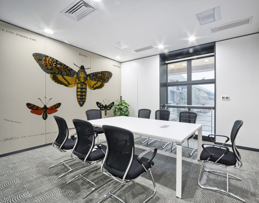 Collection of moths Wall Printing