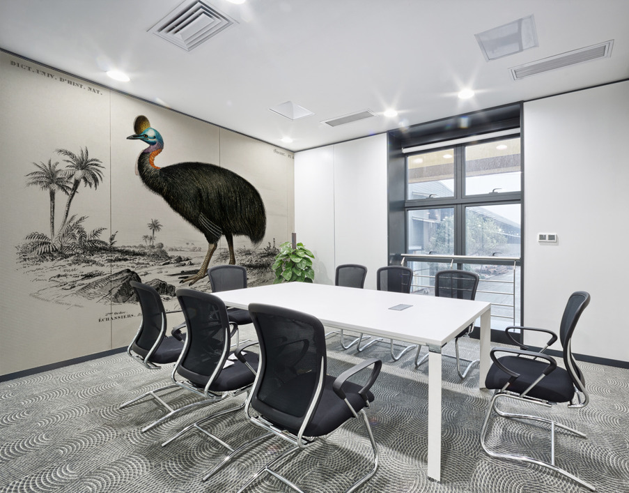 Casoar à casque bird Wall Printing
