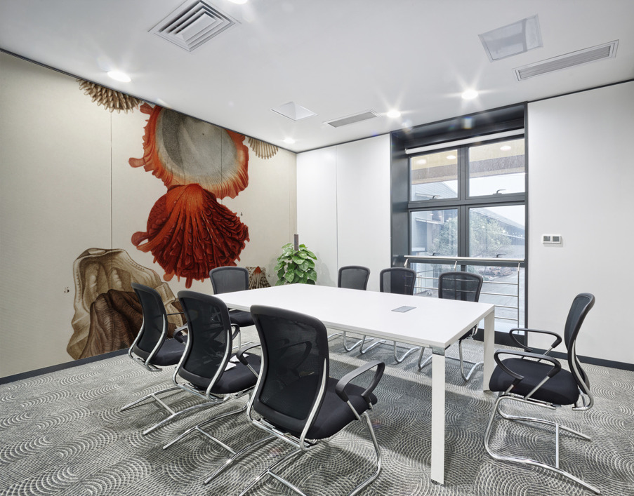 Different types of mollusks Wall Printing