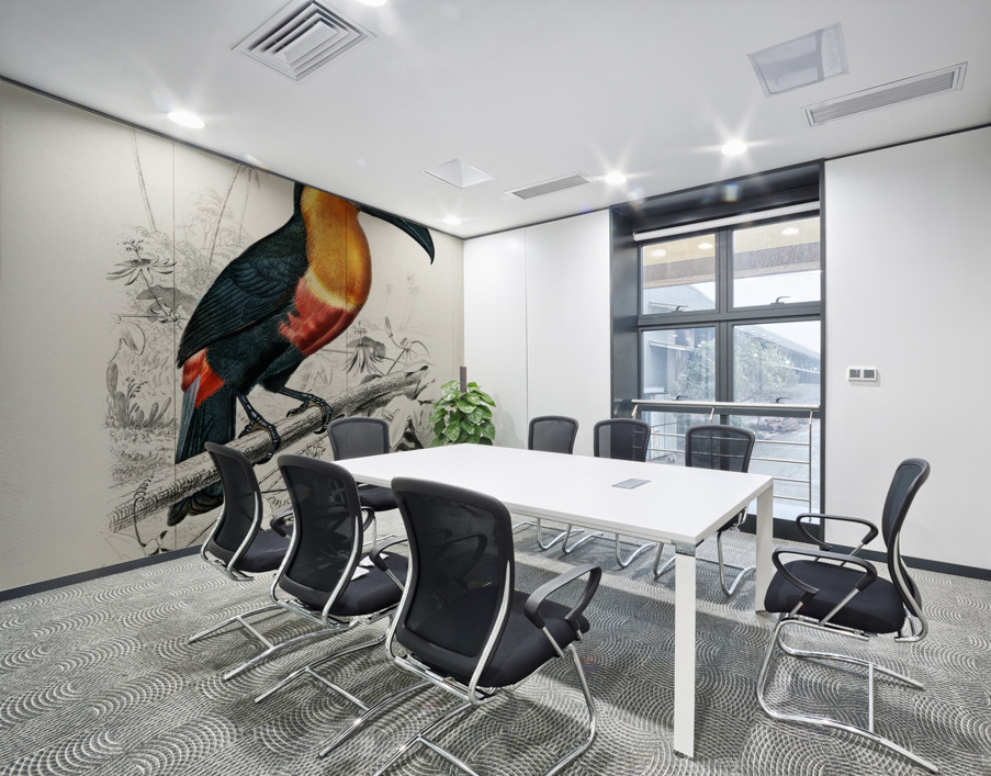 Toucan bird Wall Printing