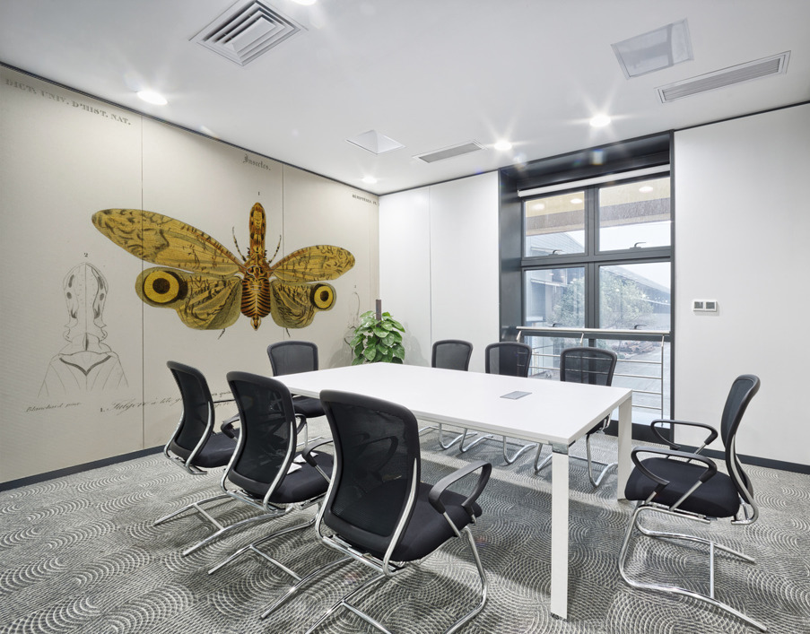 Different types of birds Wall Printing