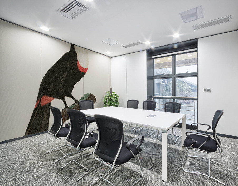 Toco toucan  Wall Printing