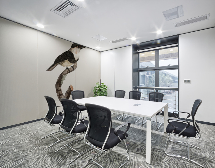 Black-billed Tamatia  Wall Printing