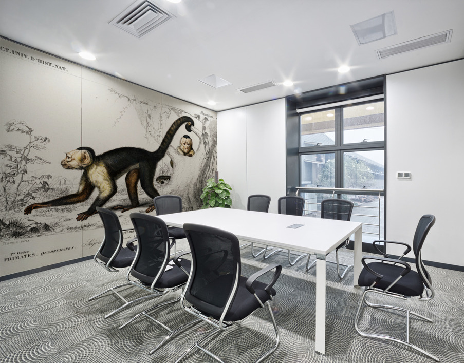 White-headed capuchin Cebus Hypoleucus Wall Printing