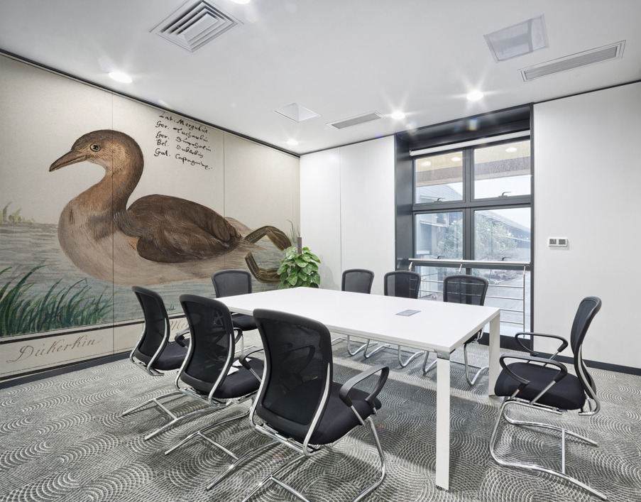 Little grebe in vintage style Wall Printing