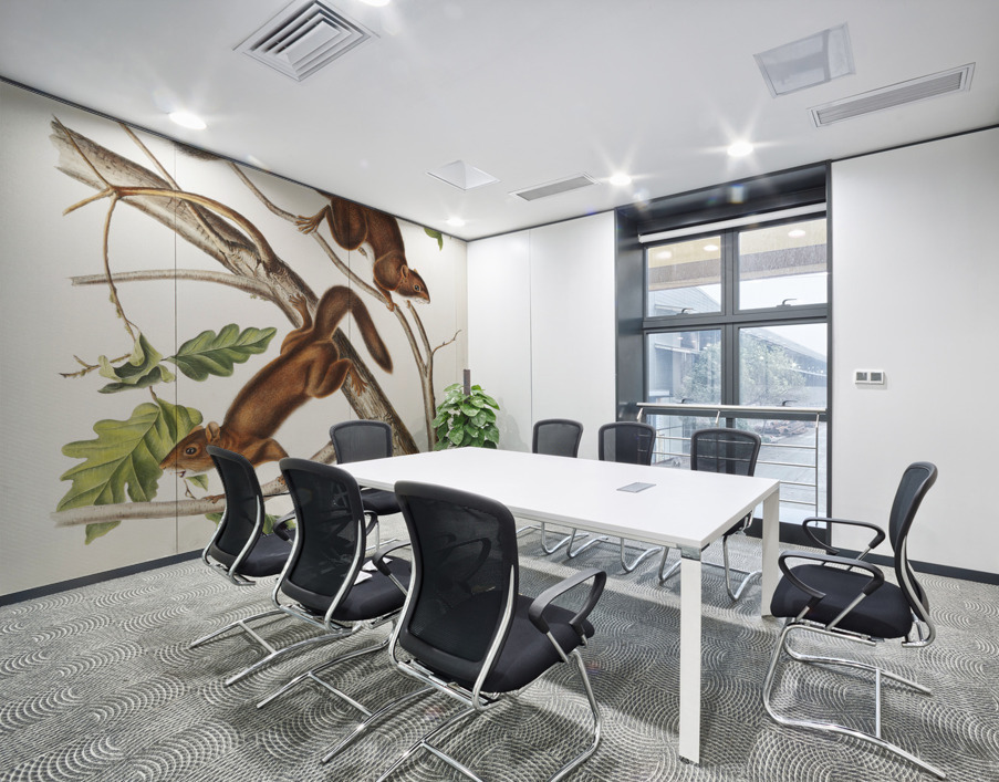 Soft-haired Squirrel Sciurus mollipilosus  Wall Printing