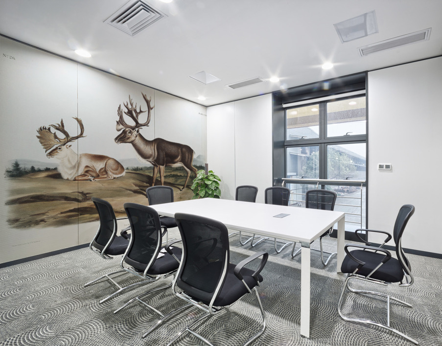 Caribou or American Rein Deer Tarandus furcifer  Wall Printing