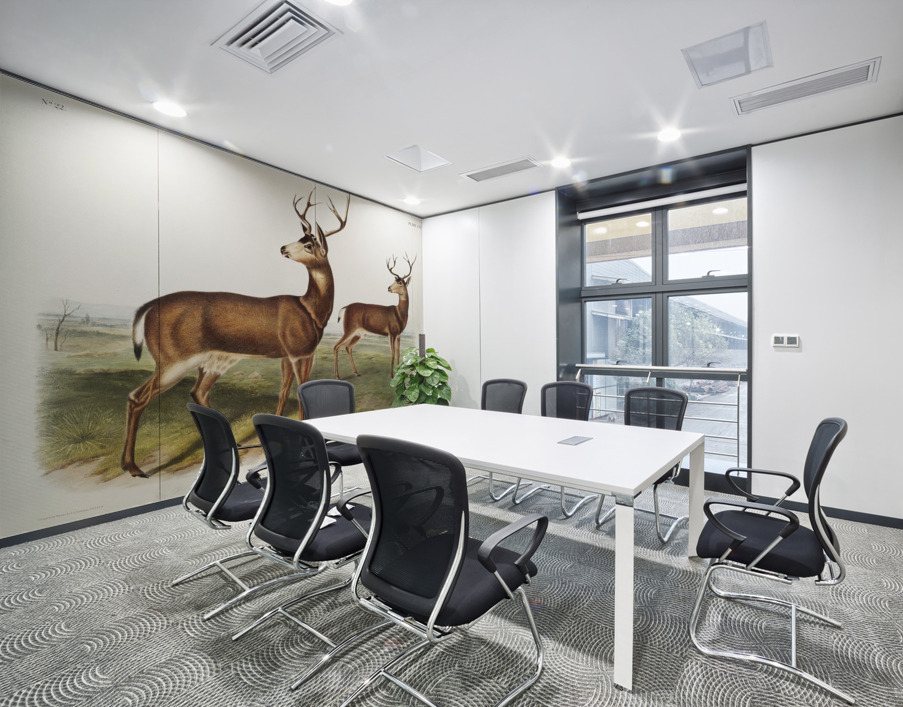 Columbian Black-tailed Deer Cervus Richardsonii  Wall Printing