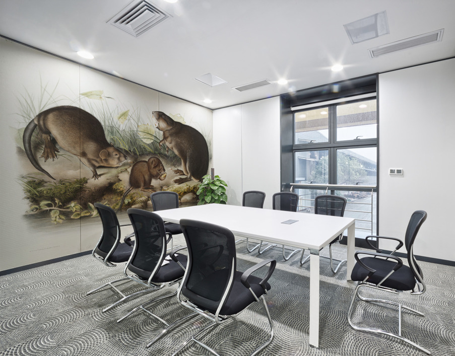 Musk-Rat Musquash Fiber Zibethicus  Wall Printing