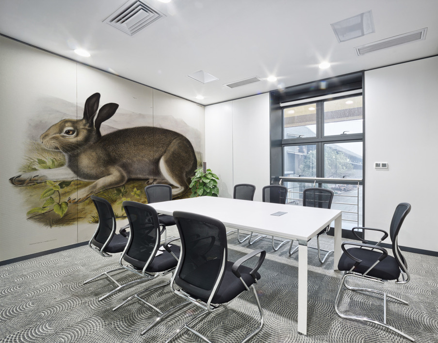 Polar Hare Lepus glacialis  Wall Printing