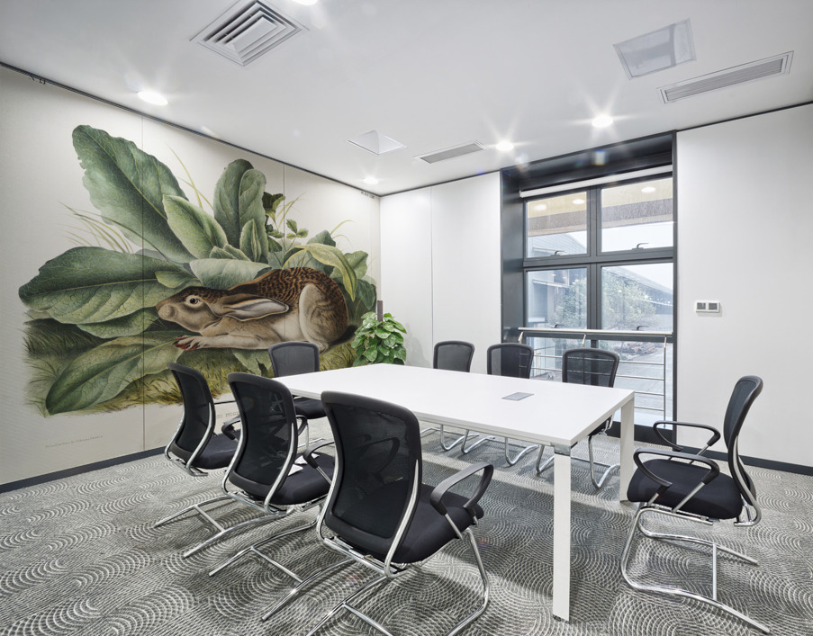 Black-tailed Hare Lepus negricaudatus  Wall Printing