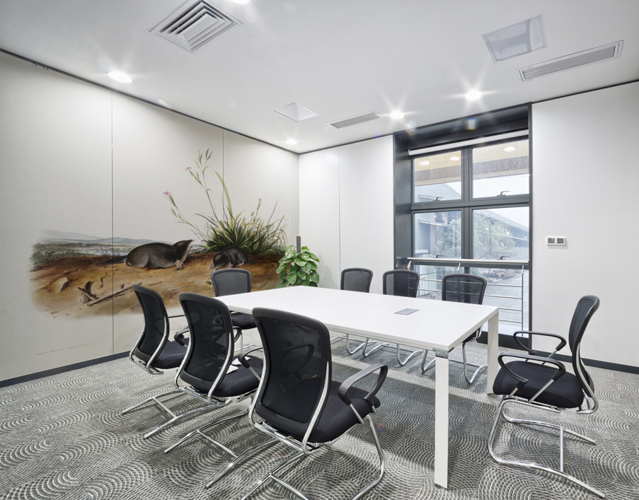 Shrew Mole Scallops Brewerii  Wall Printing