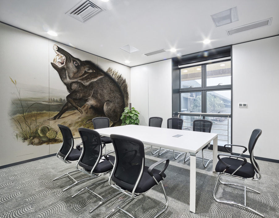 Collared Peccary Dycoteles torquatus  Wall Printing