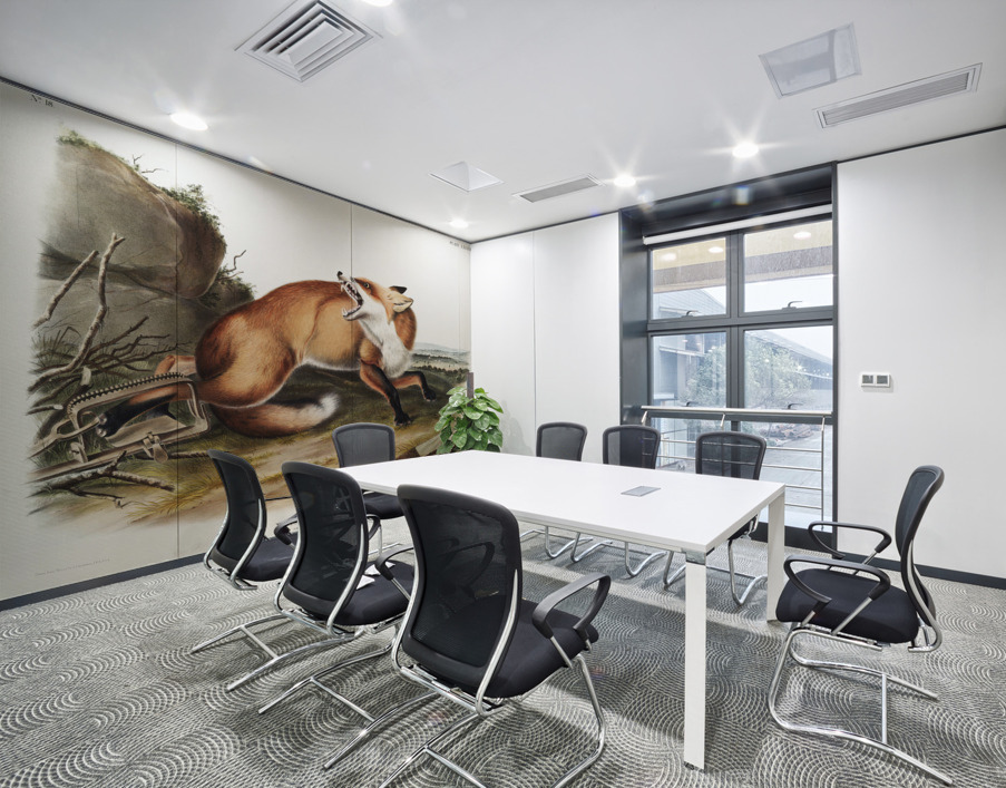 American Red-Fox Vulpes Fulvus  Wall Printing