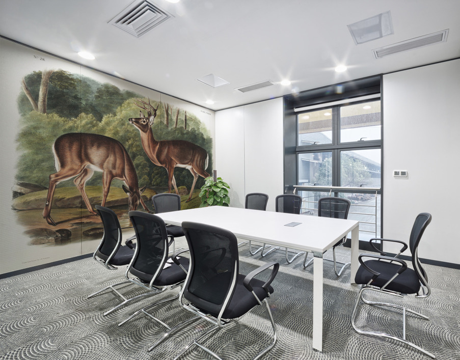 Deer or Virginian Deer Cervus Virginianus  Wall Printing